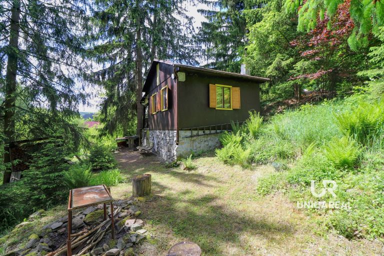 Prodej chaty s pozemkem 622 m2 – Nedvědice
