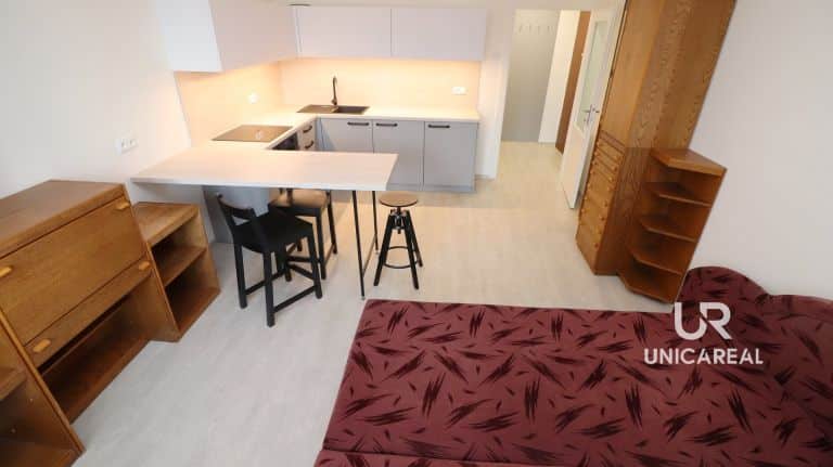 Pronájem byty 1+kk, 32 m2 – Brno – Žabovřesky