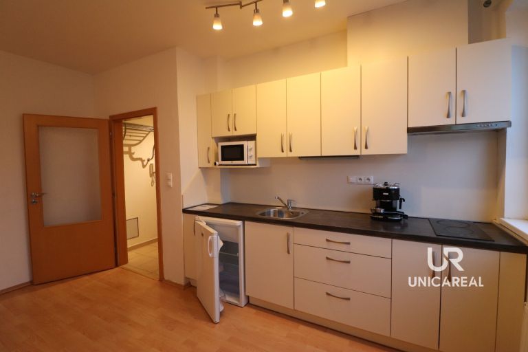 Pronájem bytu 1+kk, ul. Netušilova, Brno-Husovice