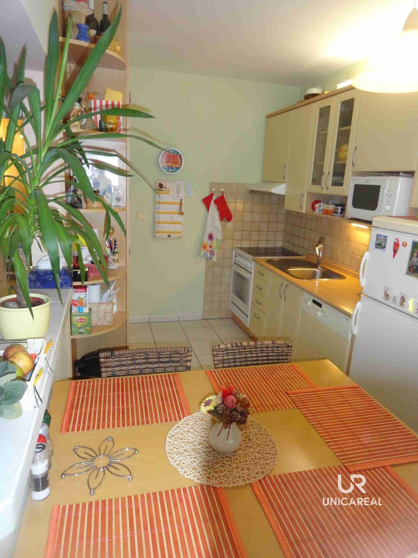 Pronajem-bytu-21-Konikleco-Brno-Novy-Liskove-1-kuchyn