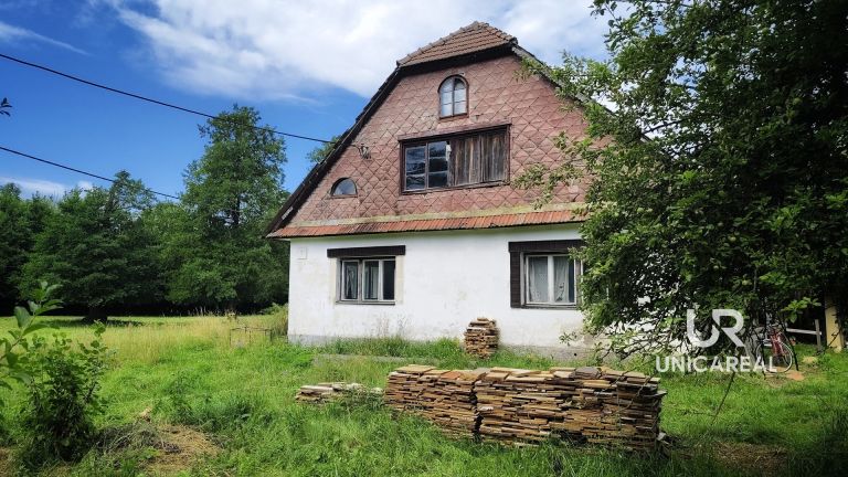 PRODÁNO – Prodej rodinného domu 3+1, Dolní Orlice, Červená Voda, C.P.: 377m²