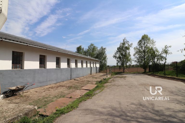 Pronájem skladového prostoru 1760 m2, obec Holubice, okres Vyškov