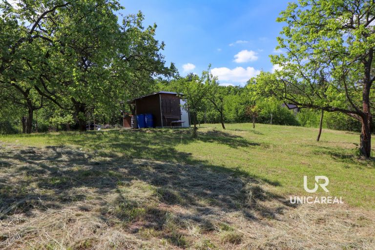 Prodej sadu 3 851 m² – Židlochovice