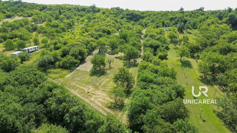 Prodej sadu 3 851 m² – Židlochovice