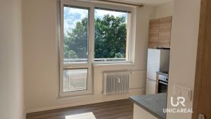 Vstup-na-balkon-pronajem-Zidlochovice