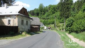 DSCN7223