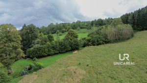 DJI_0044