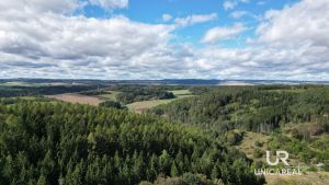 DJI_0673