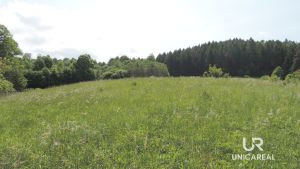 DSCN7237