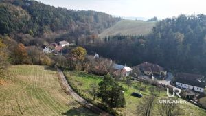 DJI_0941