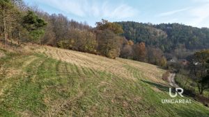 DJI_0933