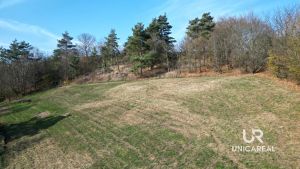 DJI_0931