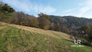 DJI_0920