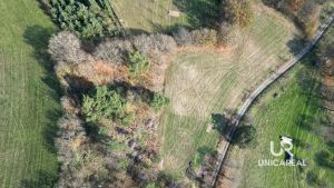 DJI_0934