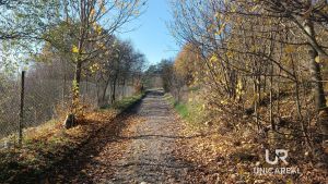 IMG_20241101_131424_993