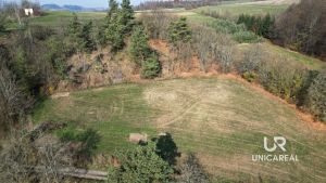 DJI_0936