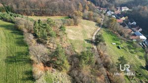 DJI_0921