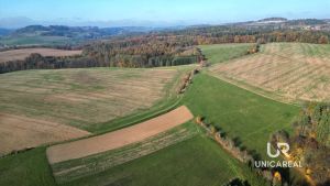 DJI_0848