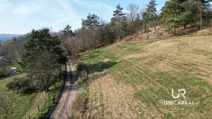 DJI_0932