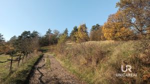 IMG_20241101_131520_622