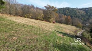 DJI_0940