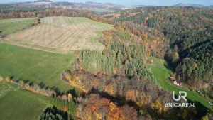 DJI_0849
