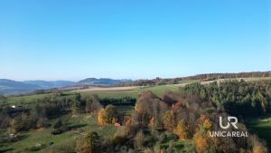 DJI_0867