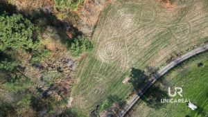 DJI_0929