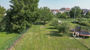 DJI_0557