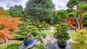 5-Prodej-RD-Brno-Komin-japonska-zahrada