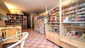 20-prodej-rd-rodinny-dum-kavarna-vinarna-Brno-Komin