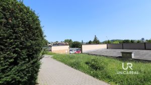 IMG_6482