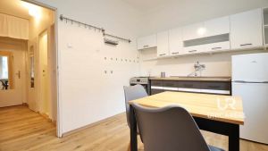 Pronajem-bytu-21-Klatovska-Brno-Ponava-kuchyn