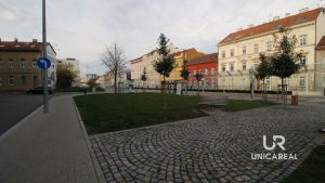 IMG_6840