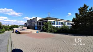 IMG_6311