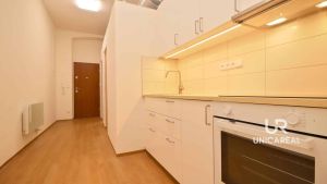 Pronajem-bytu-11-Brno-Veveri-Hrncirska-kuchyn-2