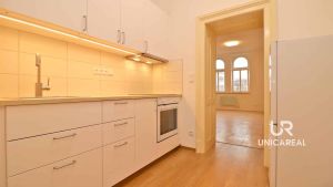 Pronajem-bytu-11-Brno-Veveri-Hrncirska-kuchyn