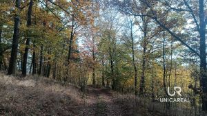 IMG_20241029_133434_419