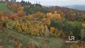 DJI_0756