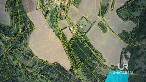 IMG_20241029_081736_469