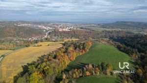 DJI_0815