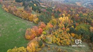 DJI_0743