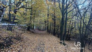 IMG_20241029_121645_485