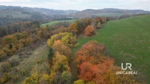 DJI_0749