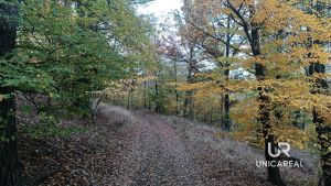 IMG_20241029_120900_272
