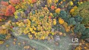 DJI_0730