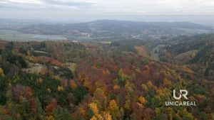 DJI_0733