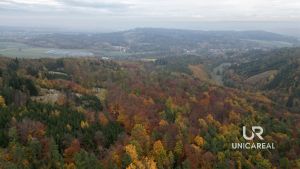 DJI_0733