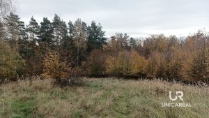 IMG_20241029_122852_690
