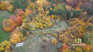DJI_0740